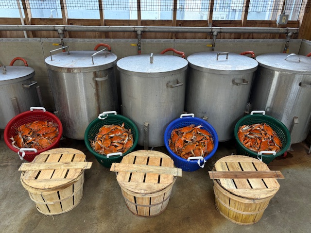 Industrial tableware with seafood